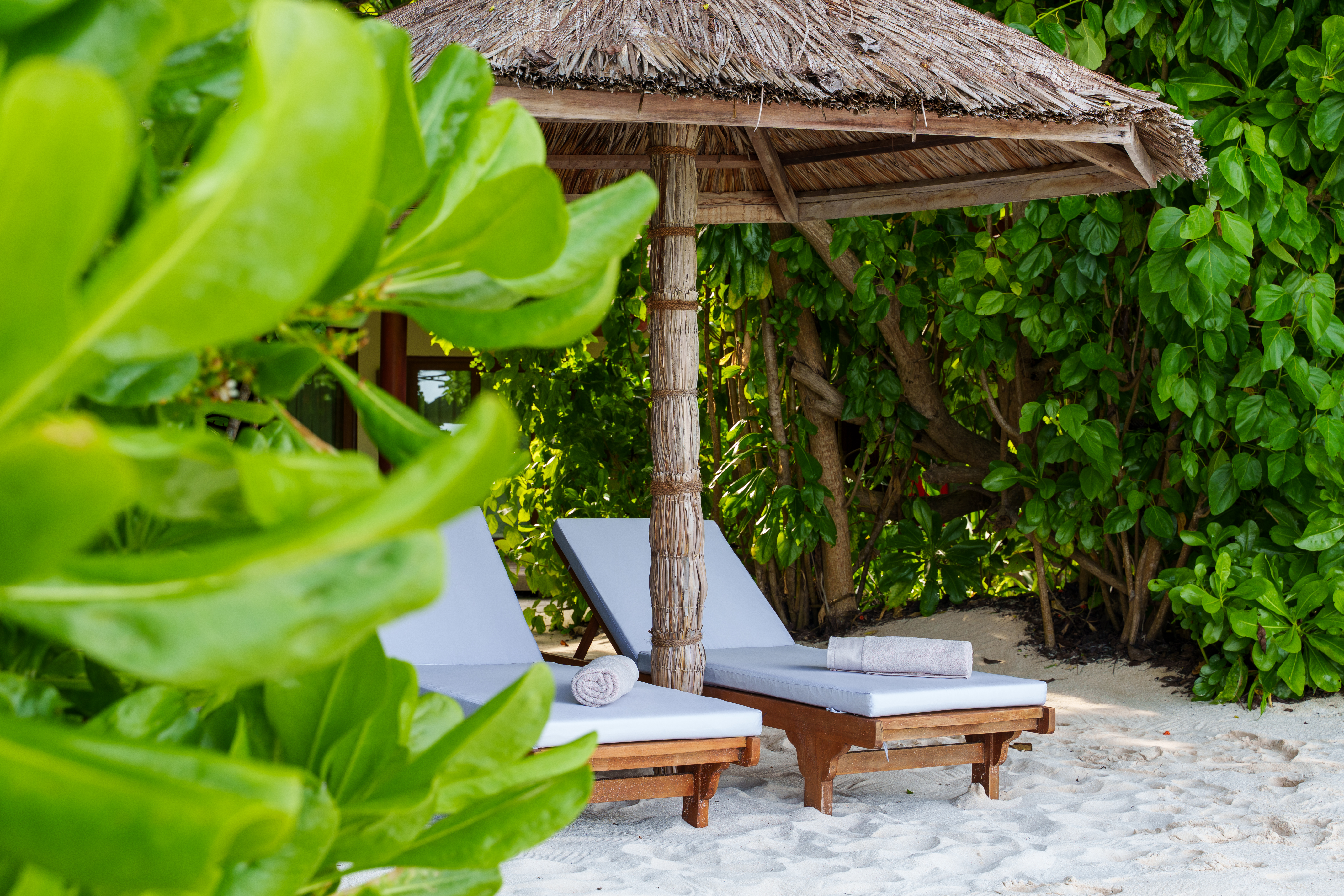 Deluxe Two Bedroom Beach Suites at Reethi Faru Resort