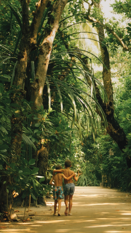Baa Atoll (UNESCO Biosphere Reserve)'s image